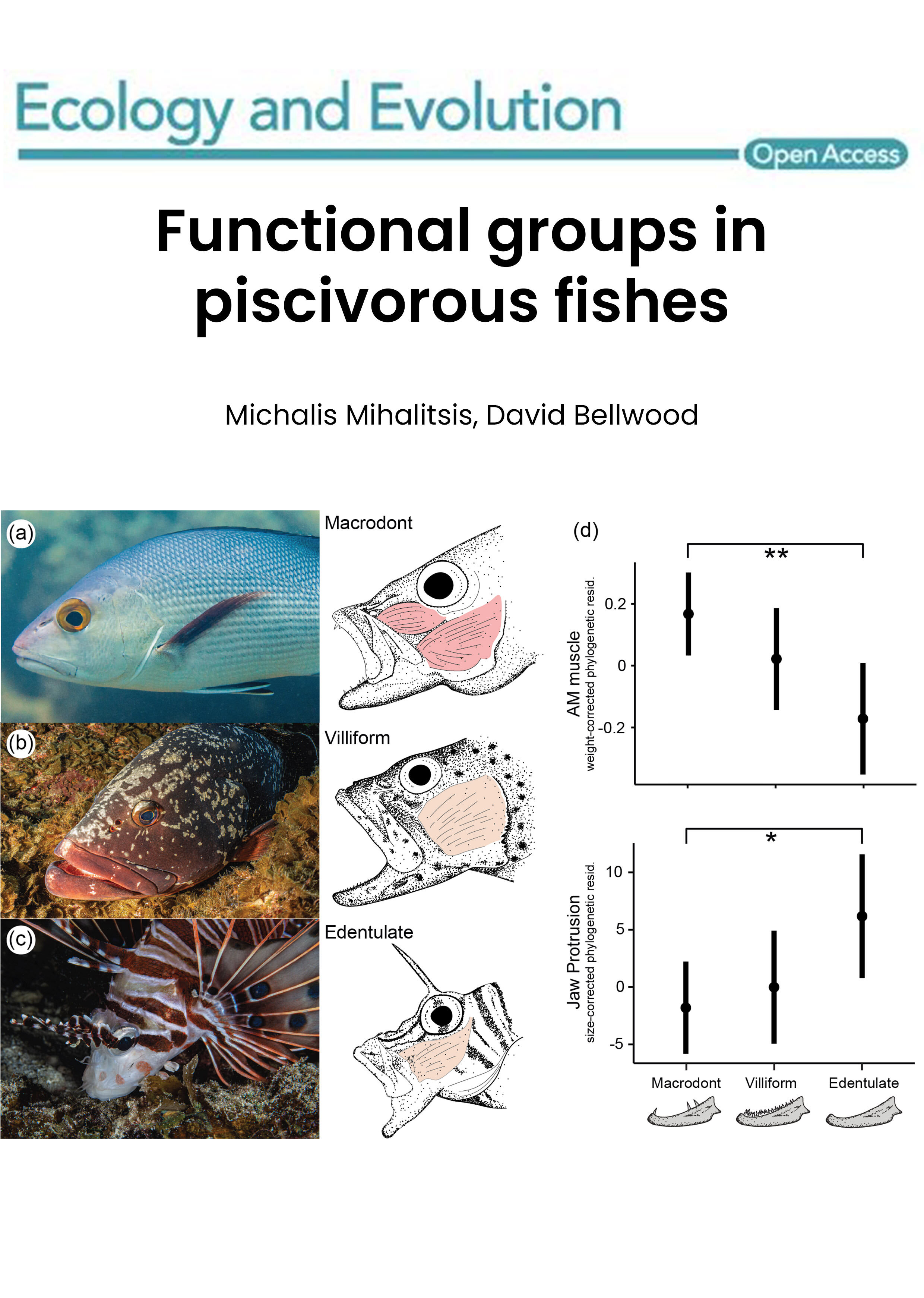 Functional groups in piscivorous fishes
