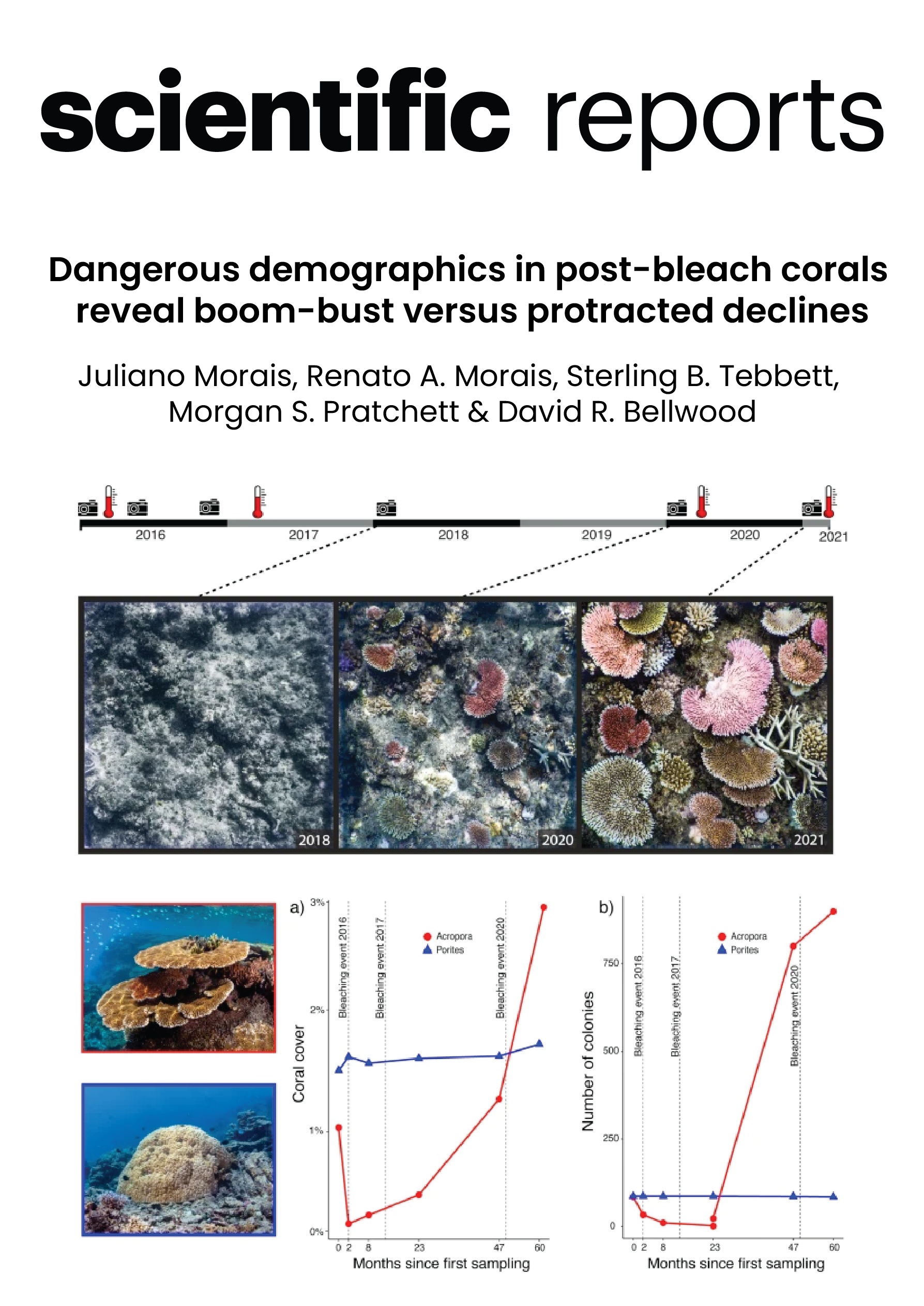 Dangerous demographics in post-bleach corals reveal boom-bust versus protracted declines