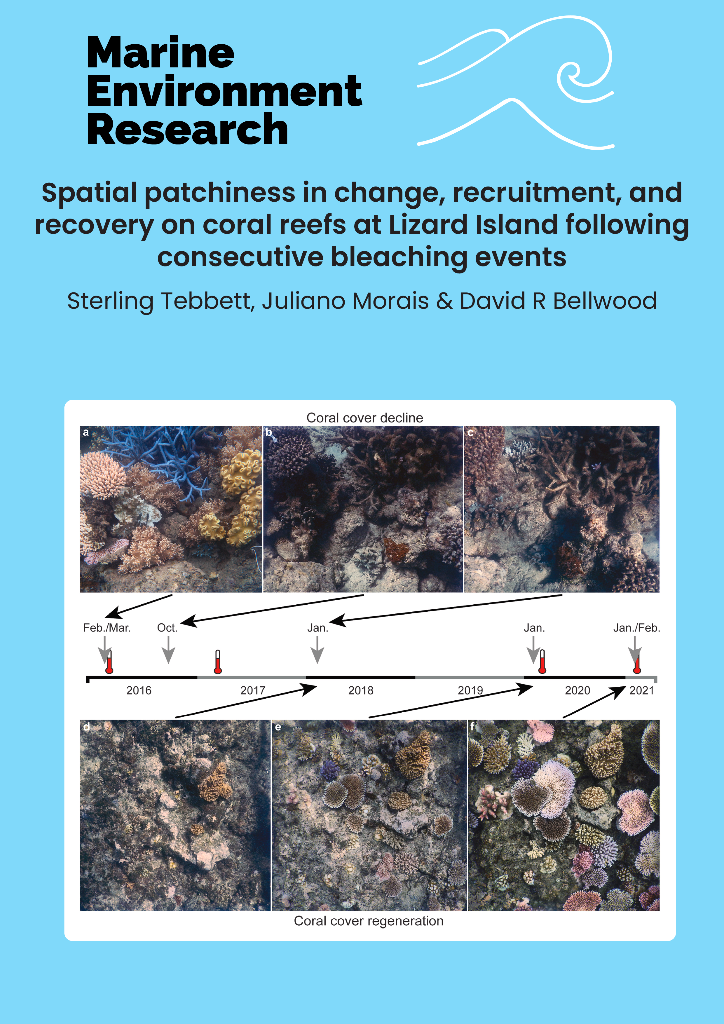 Spatial patchiness in change, recruitment, and recovery on coral reefs at Lizard Island following consecutive bleaching events