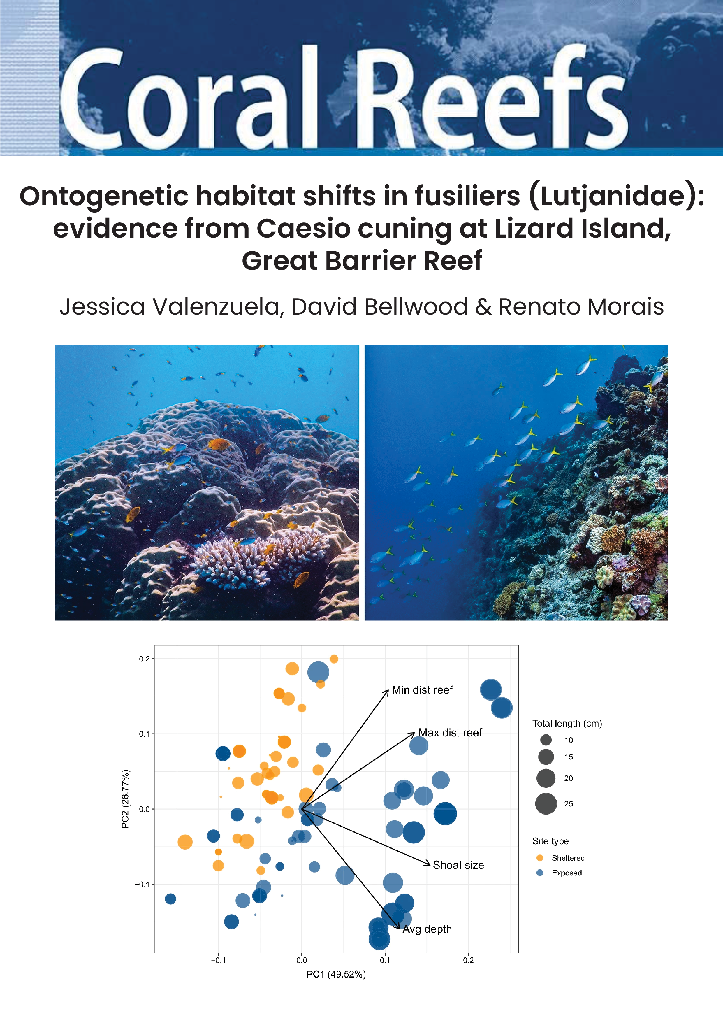Ontogenetic habitat shifts in fusiliers (Lutjanidae): evidence from Caesio cuning at Lizard Island, Great Barrier Reef
