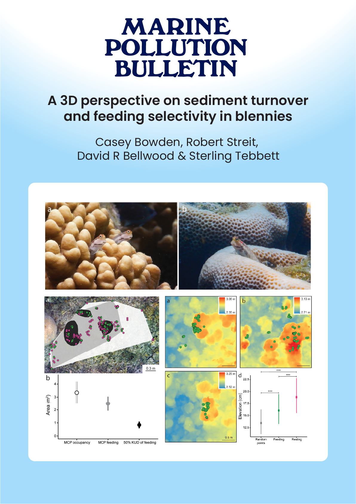 A 3D perspective on sediment turnover and feeding selectivity in blennies
