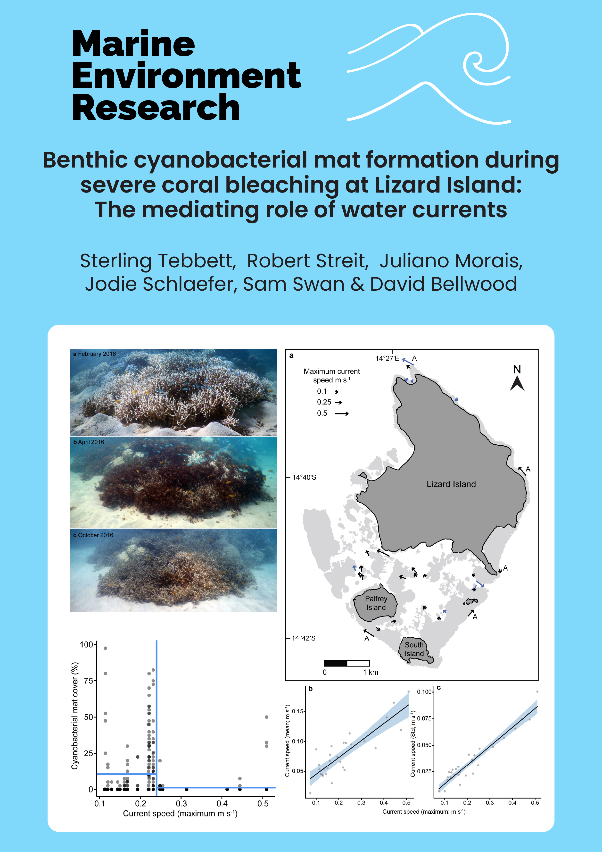 Benthic cyanobacterial mat formation during severe coral bleaching at Lizard Island: The mediating role of water currents