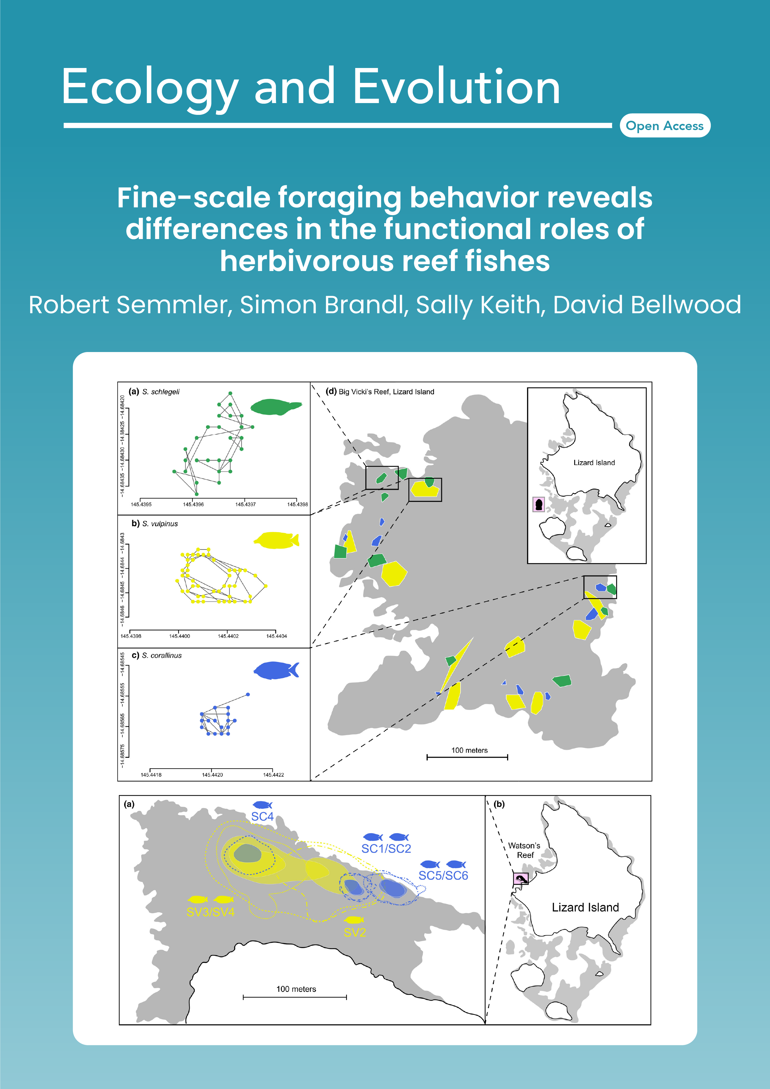 Fine-scale foraging behavior reveals differences in the functional roles of herbivorous reef fishes