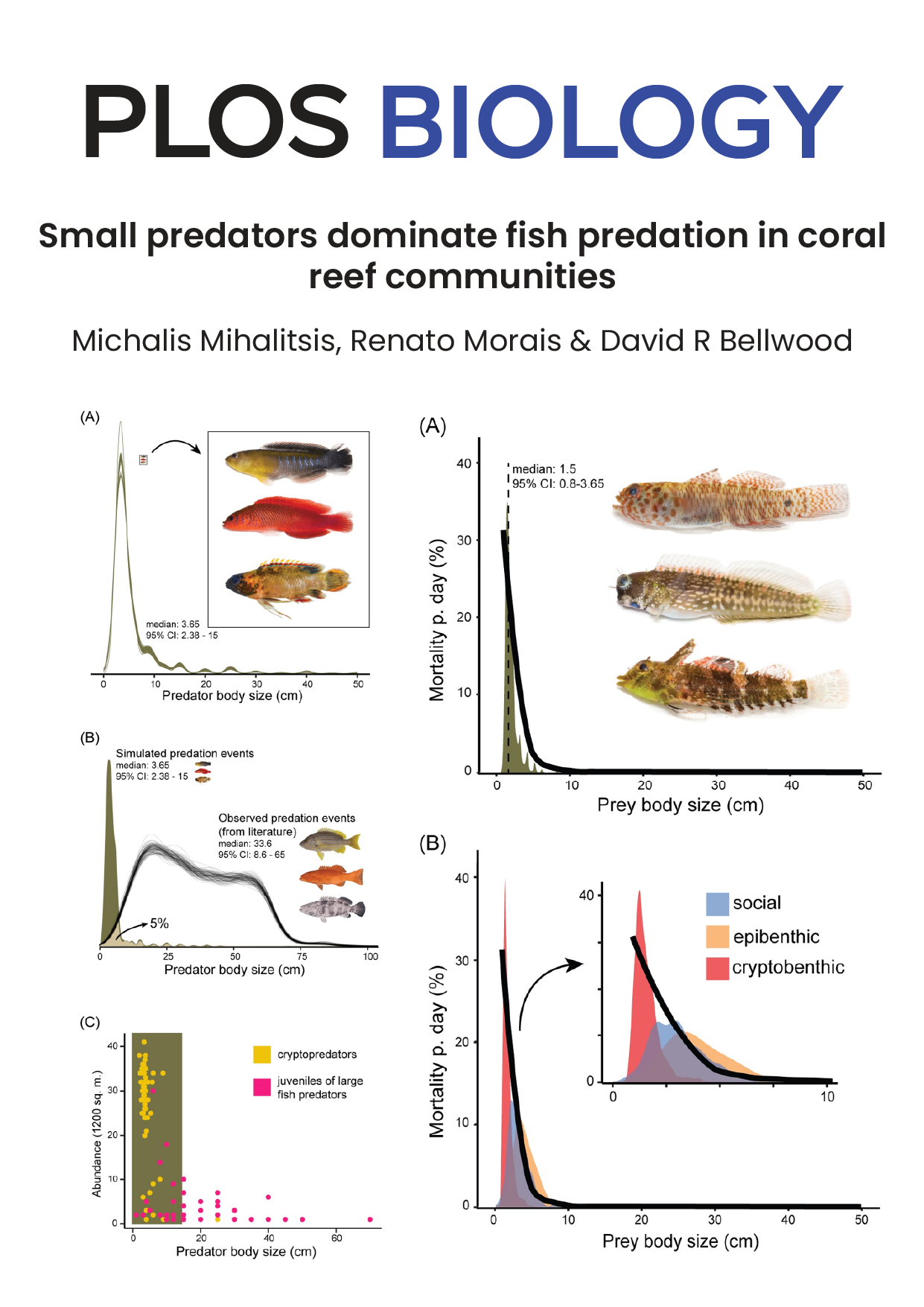 Small predators dominate fish predation in coral reef communities