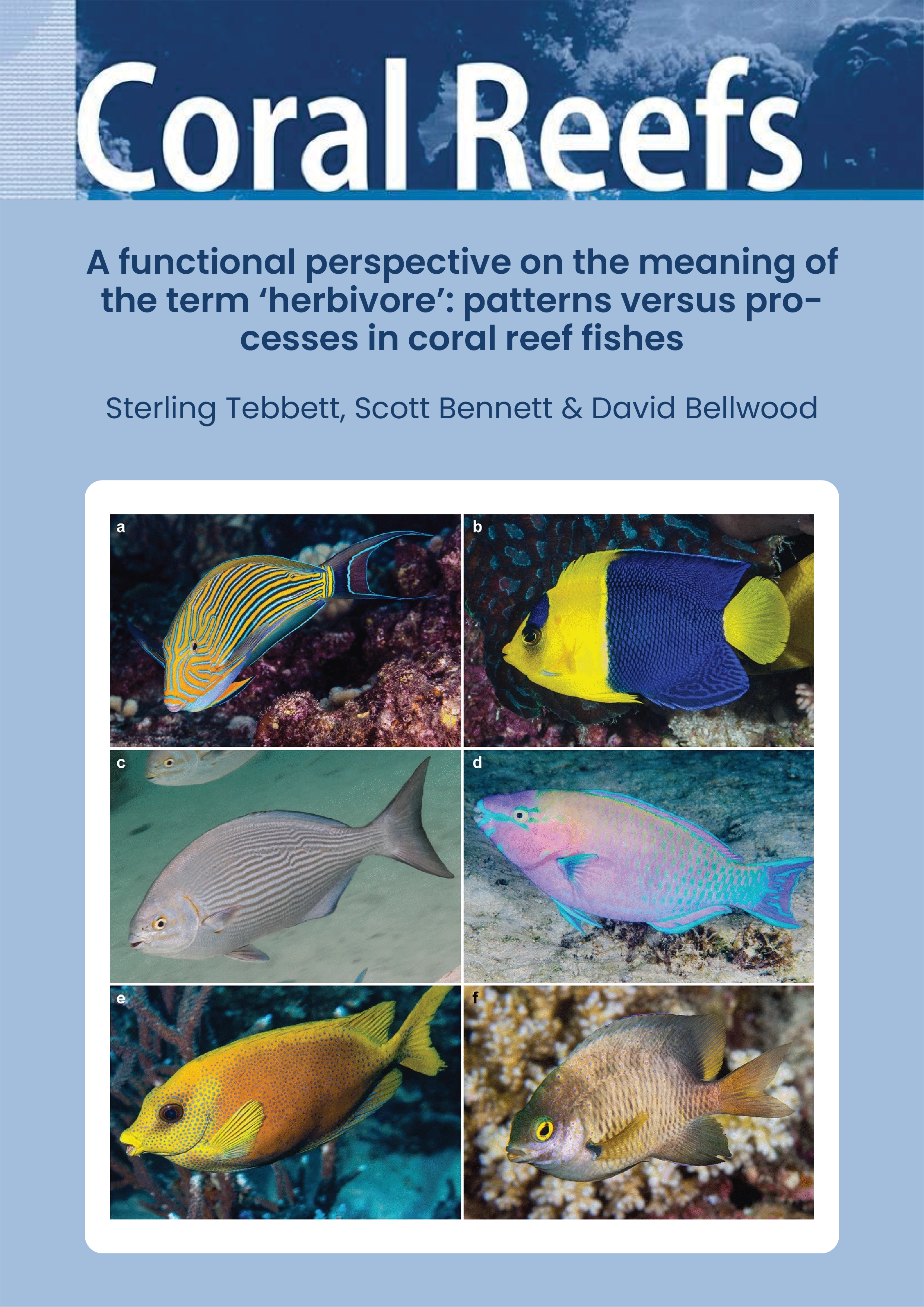 A functional perspective on the meaning of the term ‘herbivore’: patterns versus processes in coral reef fishes