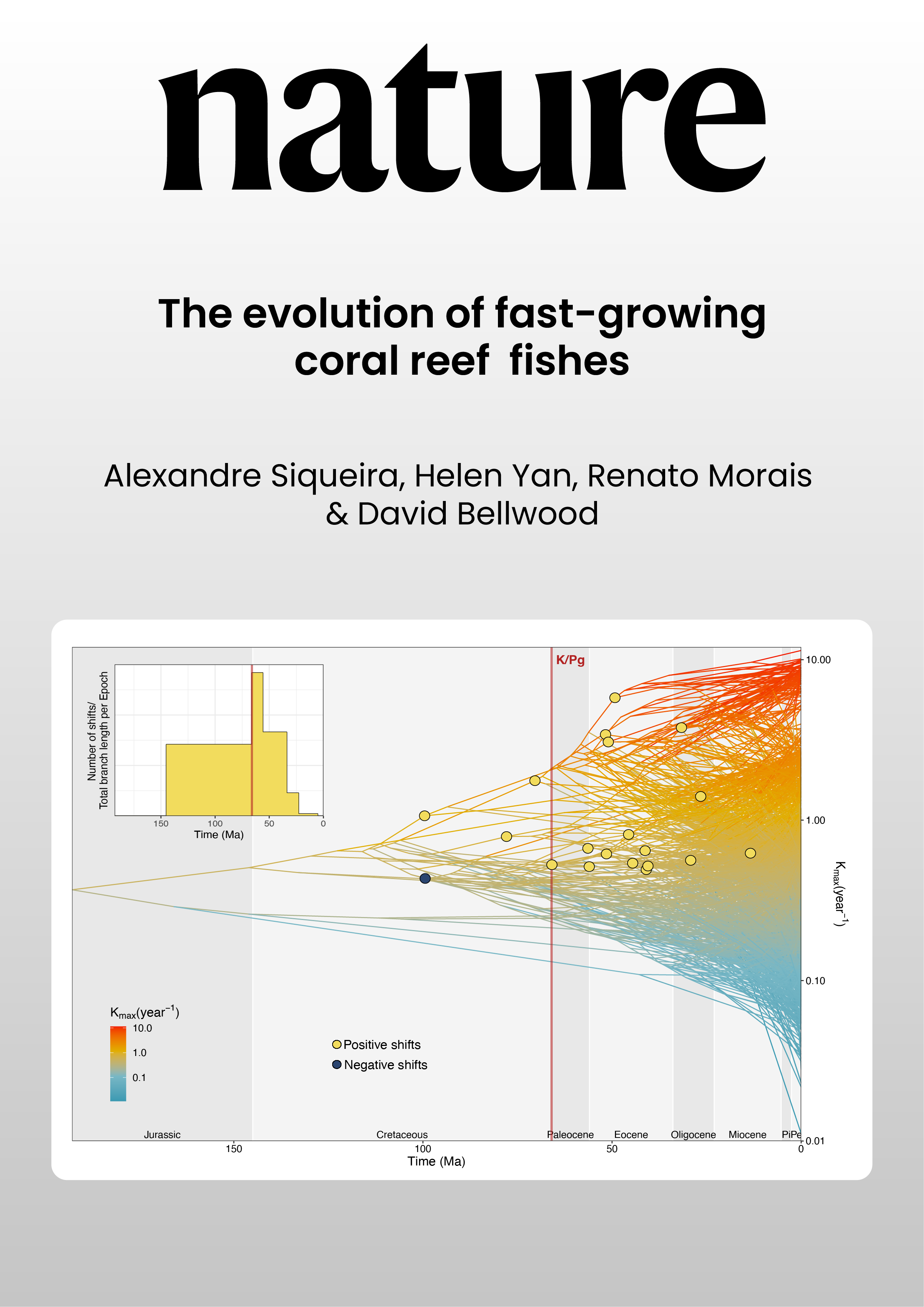 The evolution of fast-growing coral reef fishes