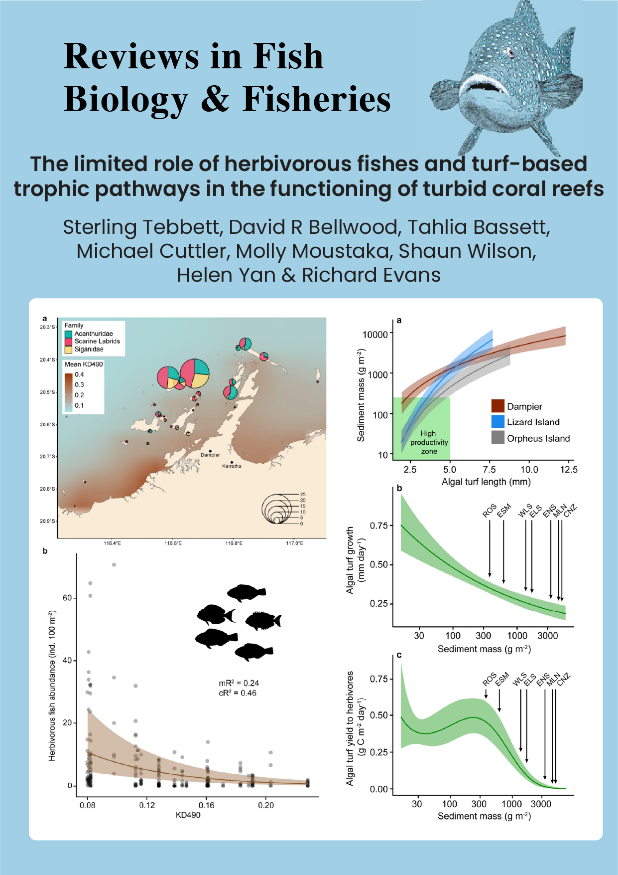 The limited role of herbivorous fishes and turf-based trophic pathways in the functioning of turbid coral reefs