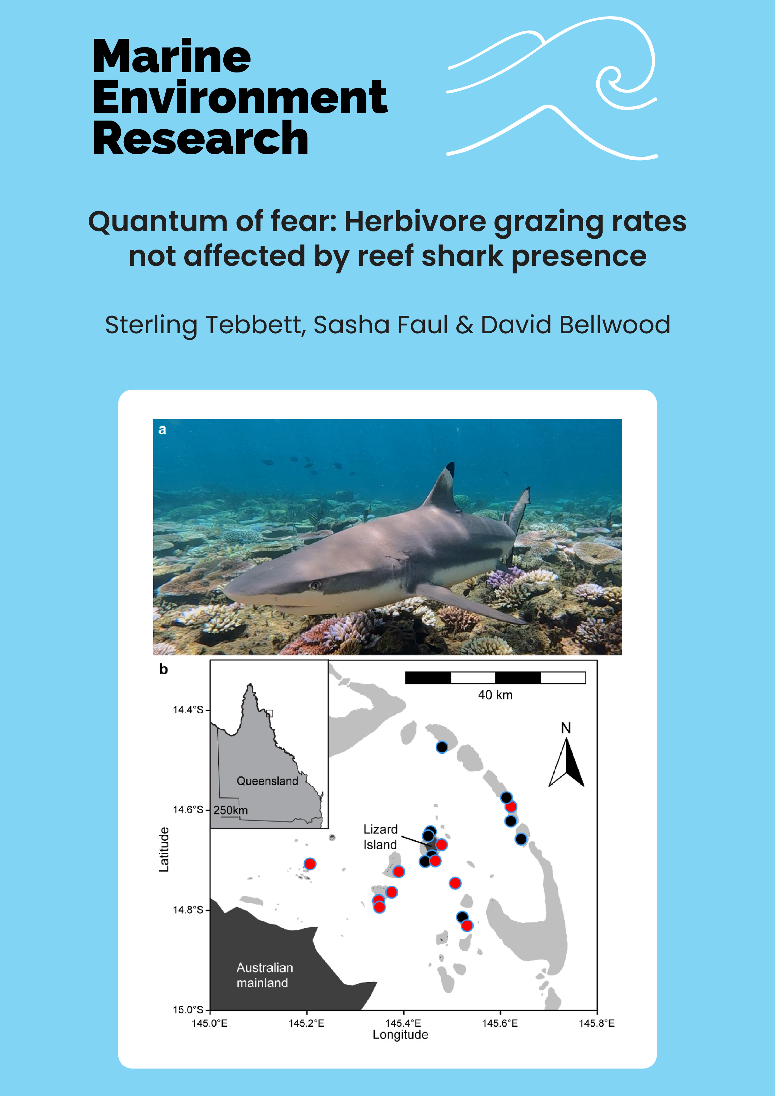 Quantum of fear: Herbivore grazing rates not affected by reef shark presence