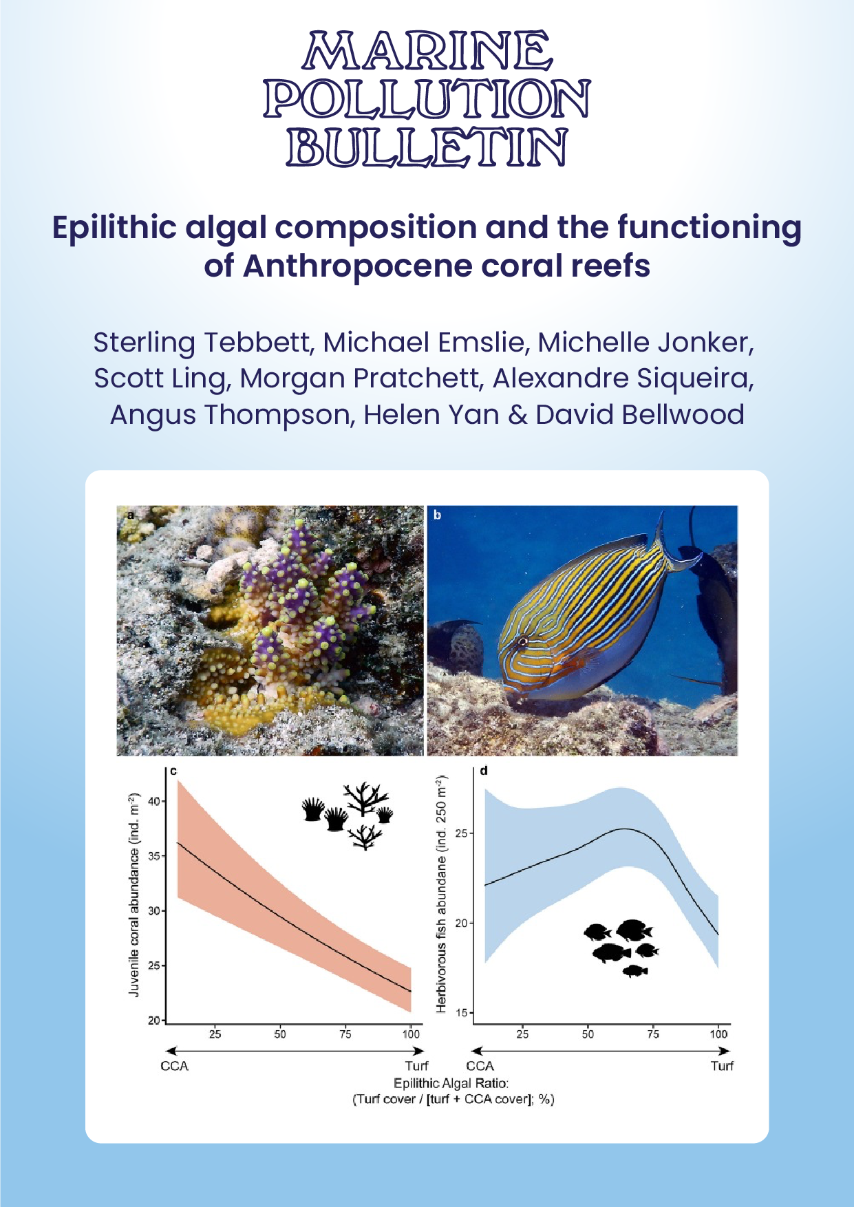 Epilithic algal composition and the functioning of Anthropocene coral reefs