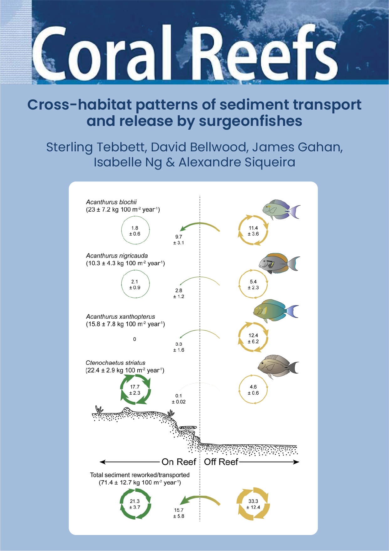 Cross-habitat patterns of sediment transport and release by surgeonfishes